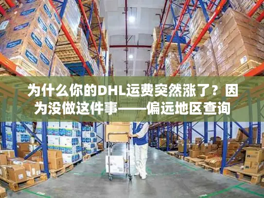 为什么你的DHL运费突然涨了？因为没做这件事——偏远地区查询