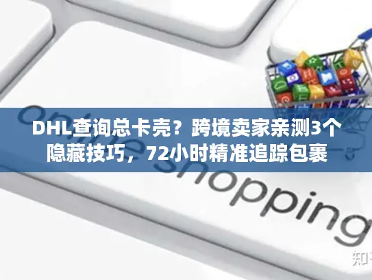 DHL查询总卡壳？跨境卖家亲测3个隐藏技巧，72小时精准追踪包裹