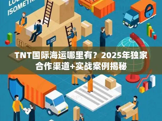 TNT国际海运哪里有？2025年独家合作渠道+实战案例揭秘