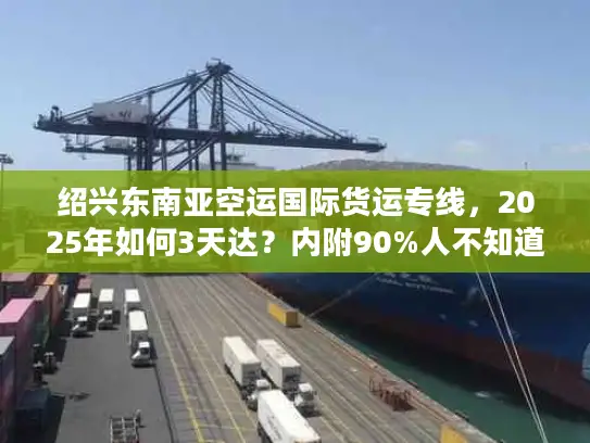 绍兴东南亚空运国际货运专线，2025年如何3天达？内附90%人不知道的清关技巧！