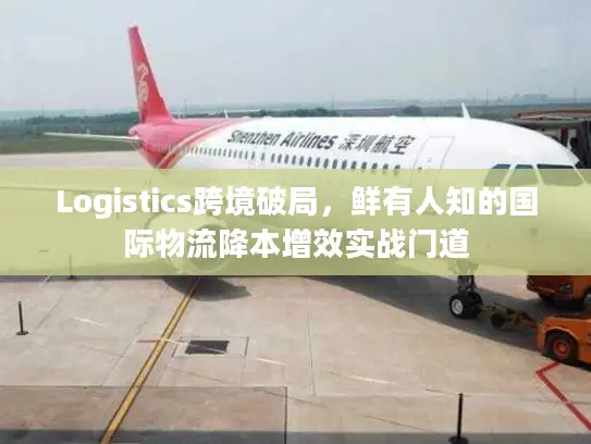 Logistics跨境破局，鲜有人知的国际物流降本增效实战门道