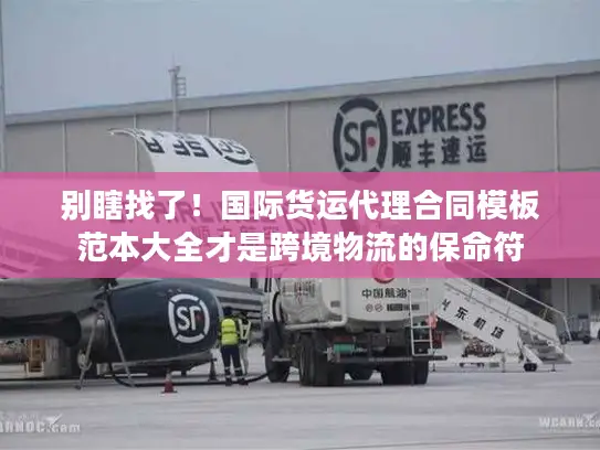 别瞎找了！国际货运代理合同模板范本大全才是跨境物流的保命符