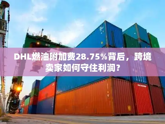 DHL燃油附加费28.75%背后，跨境卖家如何守住利润？