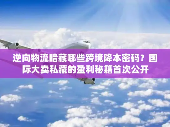 逆向物流暗藏哪些跨境降本密码？国际大卖私藏的盈利秘籍首次公开