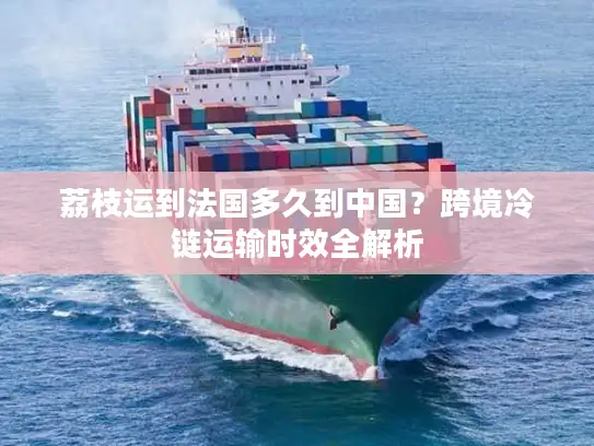 荔枝运到法国多久到中国？跨境冷链运输时效全解析