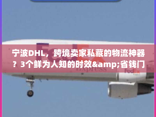 宁波DHL，跨境卖家私藏的物流神器？3个鲜为人知的时效&省钱门道