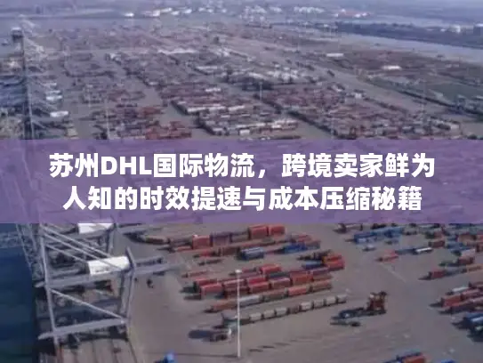 苏州DHL国际物流，跨境卖家鲜为人知的时效提速与成本压缩秘籍