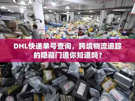 DHL快递单号查询，跨境物流追踪的隐藏门道你知道吗？