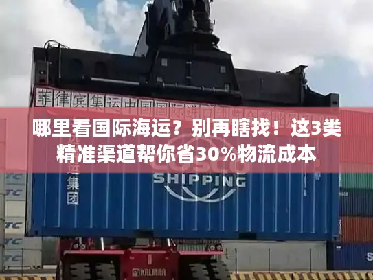 哪里看国际海运？别再瞎找！这3类精准渠道帮你省30%物流成本