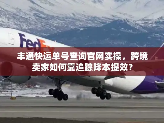 丰通快运单号查询官网实操，跨境卖家如何靠追踪降本提效？