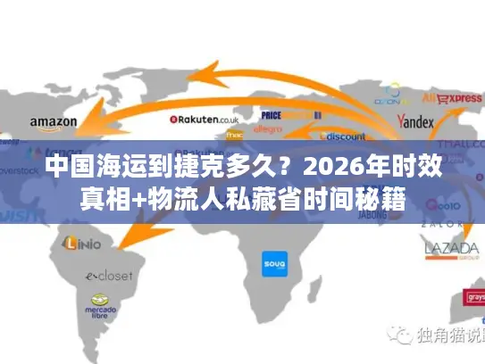 中国海运到捷克多久？2026年时效真相+物流人私藏省时间秘籍