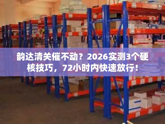 韵达清关催不动？2026实测3个硬核技巧，72小时内快速放行！