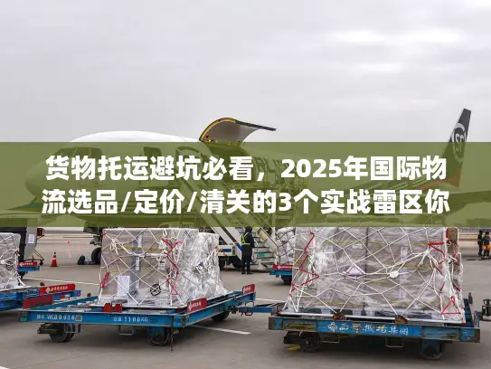 货物托运避坑必看，2025年国际物流选品/定价/清关的3个实战雷区你踩了吗？