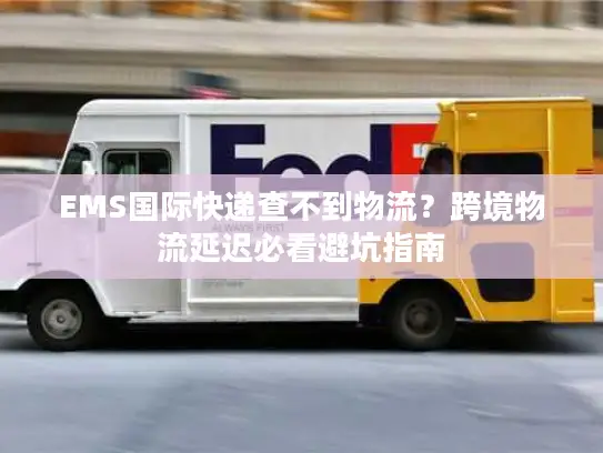 EMS国际快递查不到物流？跨境物流延迟必看避坑指南