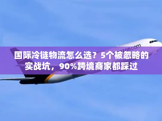 国际冷链物流怎么选？5个被忽略的实战坑，90%跨境商家都踩过