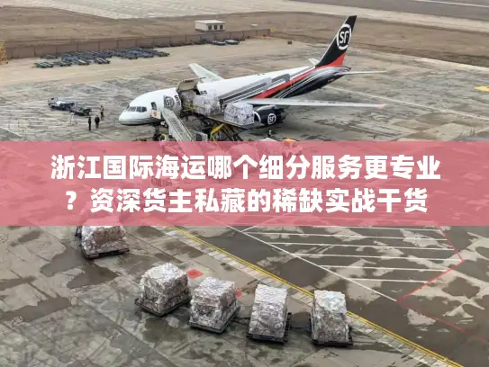 浙江国际海运哪个细分服务更专业?资深货主私藏的稀缺实战干货 浙江国际海运哪个细分服务更专业?资深货主私藏的稀缺实战干货