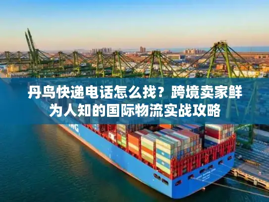 丹鸟快递电话怎么找?跨境卖家鲜为人知的国际物流实战攻略 丹鸟快递电话怎么找?跨境卖家鲜为人知的国际物流实战攻略