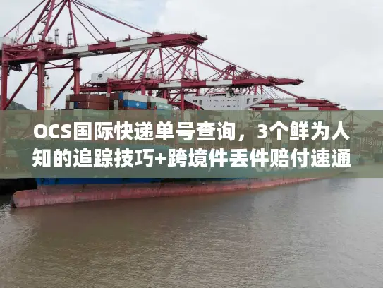 OCS国际快递单号查询，3个鲜为人知的追踪技巧+跨境件丢件赔付速通法