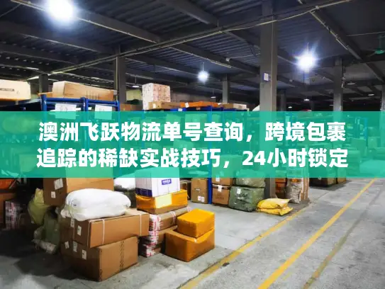 澳洲飞跃物流单号查询，跨境包裹追踪的稀缺实战技巧，24小时锁定包裹动态