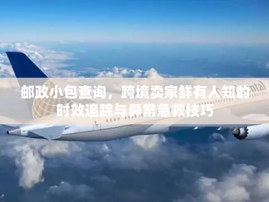 邮政小包查询，跨境卖家鲜有人知的时效追踪与异常急救技巧