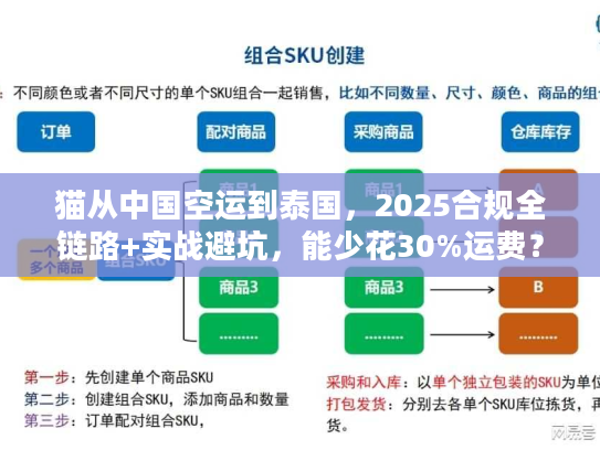 猫从中国空运到泰国，2025合规全链路+实战避坑，能少花30%运费？