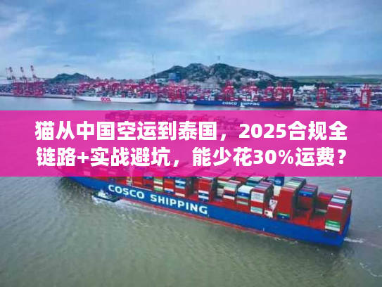 猫从中国空运到泰国，2025合规全链路+实战避坑，能少花30%运费？