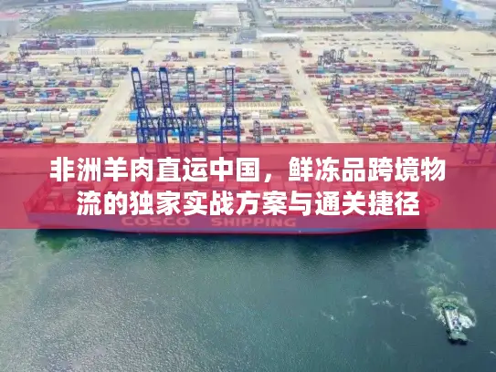 非洲羊肉直运中国，鲜冻品跨境物流的独家实战方案与通关捷径