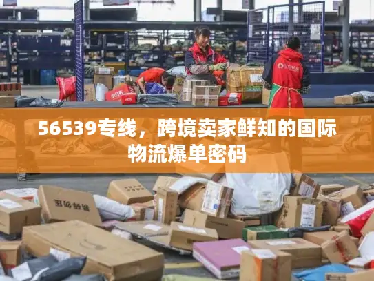 56539专线，跨境卖家鲜知的国际物流爆单密码