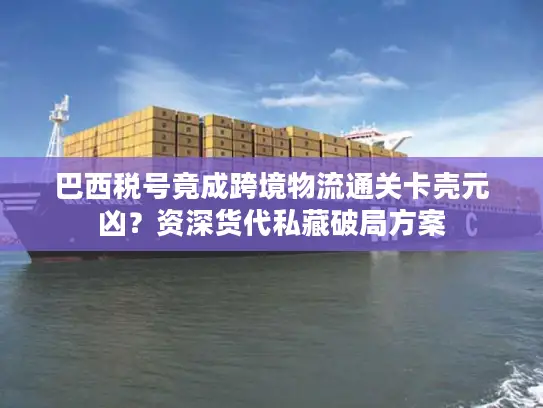 巴西税号竟成跨境物流通关卡壳元凶？资深货代私藏破局方案