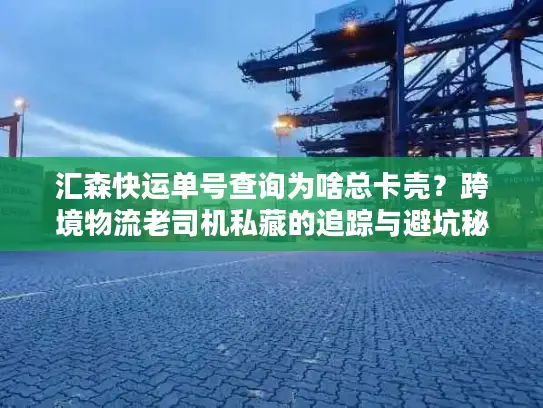 汇森快运单号查询为啥总卡壳？跨境物流老司机私藏的追踪与避坑秘籍