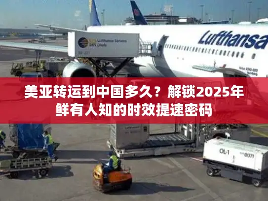 美亚转运到中国多久？解锁2025年鲜有人知的时效提速密码