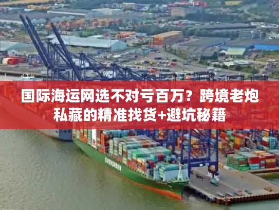 国际海运网选不对亏百万？跨境老炮私藏的精准找货+避坑秘籍