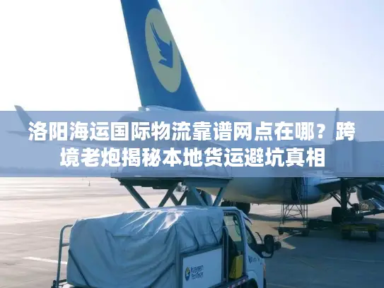 洛阳海运国际物流靠谱网点在哪？跨境老炮揭秘本地货运避坑真相
