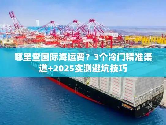 哪里查国际海运费？3个冷门精准渠道+2025实测避坑技巧
