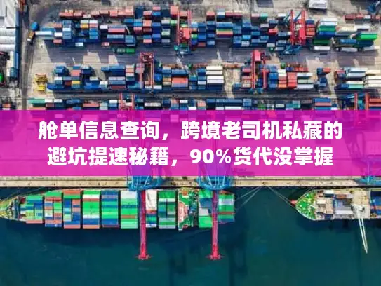 舱单信息查询，跨境老司机私藏的避坑提速秘籍，90%货代没掌握
