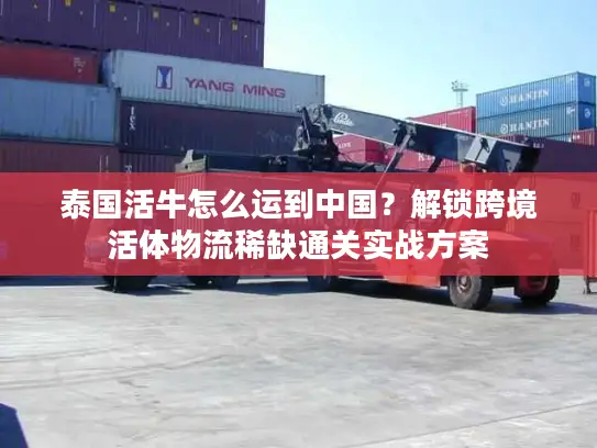 泰国活牛怎么运到中国？解锁跨境活体物流稀缺通关实战方案