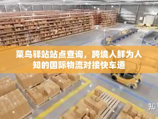 菜鸟驿站站点查询，跨境人鲜为人知的国际物流对接快车道