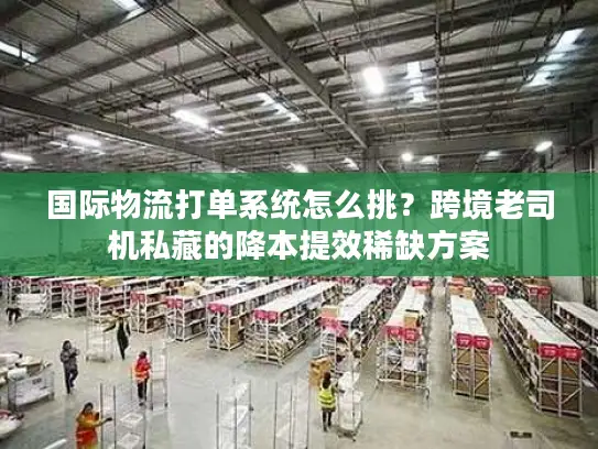 国际物流打单系统怎么挑？跨境老司机私藏的降本提效稀缺方案
