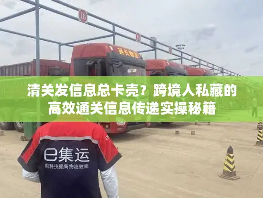 清关发信息总卡壳？跨境人私藏的高效通关信息传递实操秘籍