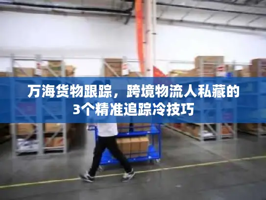 万海货物跟踪，跨境物流人私藏的3个精准追踪冷技巧