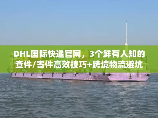 DHL国际快递官网，3个鲜有人知的查件/寄件高效技巧+跨境物流避坑