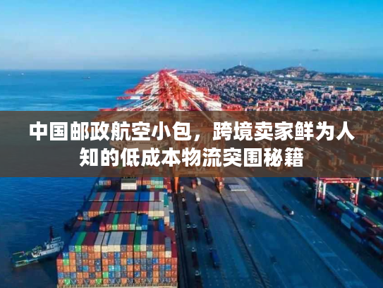中国邮政航空小包，跨境卖家鲜为人知的低成本物流突围秘籍
