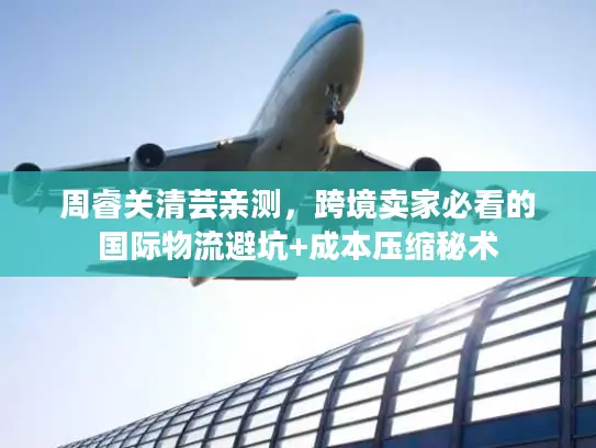 周睿关清芸亲测，跨境卖家必看的国际物流避坑+成本压缩秘术