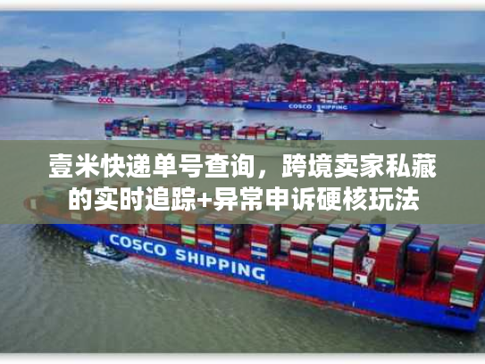 壹米快递单号查询，跨境卖家私藏的实时追踪+异常申诉硬核玩法