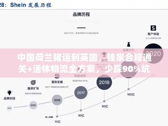 中国荷兰猪运到英国，独家合规通关+活体物流全方案，少踩90%坑