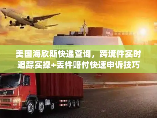 美国海欣斯快递查询，跨境件实时追踪实操+丢件赔付快速申诉技巧
