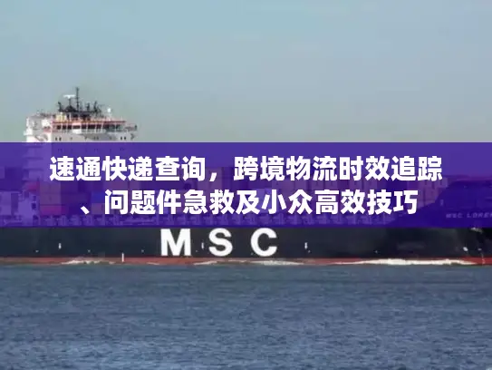 速通快递查询，跨境物流时效追踪、问题件急救及小众高效技巧