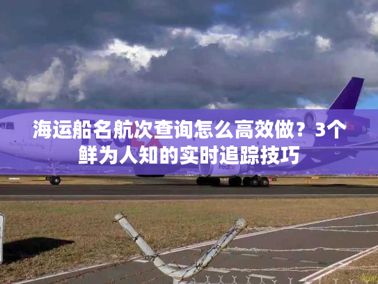 海运船名航次查询怎么高效做？3个鲜为人知的实时追踪技巧