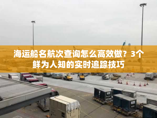 海运船名航次查询怎么高效做？3个鲜为人知的实时追踪技巧