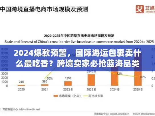 2024爆款预警，国际海运包裹卖什么最吃香？跨境卖家必抢蓝海品类清单